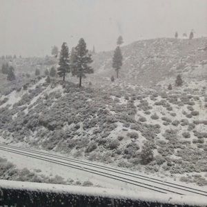 Meet your Posher, Shannon